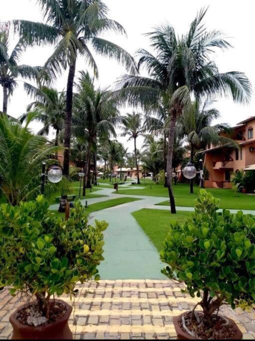 Guarajuba- Pe Na Areia . Condoninio- Genipabu Summer House- O Melhor Condominio Da Regiao Eksteriør billede